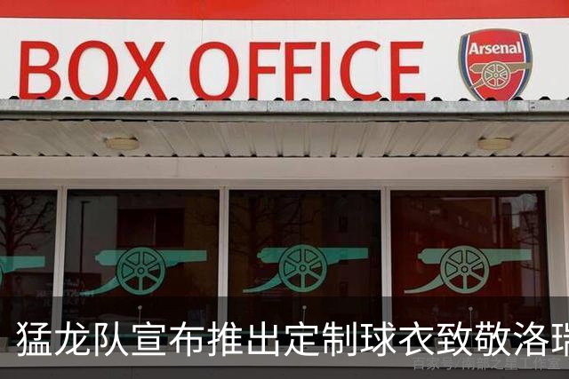 猛龙队宣布推出定制球衣致敬洛瑞退役